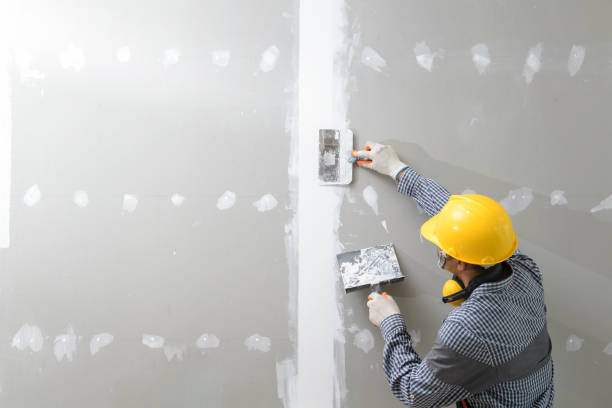 Best Black Mold Removal  in Fort Drum, NY